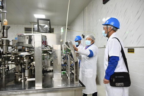 助力鄉(xiāng)村振興 國網自貢供電公司為農產品企業(yè)送電